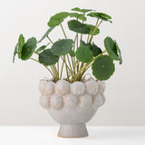 Poldor stoneware plant pot