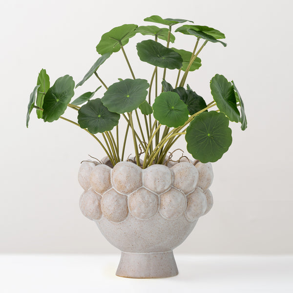 Poldor stoneware plant pot (last 1)